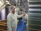 Culminada la producción de las 250 mil botellas para Antioquia, la FLA iniciará la elaboración de 80 mil para distribuir a todo el país. FOTO CORTESÍA 