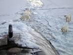 Según una investigación del científico Vladimir Sokolov, en los últimos 25 años el nivel del hielo al final del verano ártico se ha reducido un 40 %. Foto: Pixabay