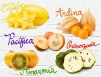 La diversidad geográfica en Colombia ofrece un amplio abanico de frutas por explorar. Foto ShutterStock.