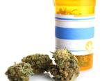 Por la afinidad que existe entre las flores y el cannabis, el desarrollo de estos cultivos se daría en zonas como el Oriente antioqueño, donde hay proyectos listos para arrancar. FOTO sstock