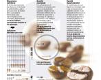51.280 caficultores antioqueños están habilitados para votar en las elecciones cafeteras de septiembre de 2018 . Foto: Archivo.