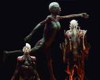 Poder observar el interior del cuerpo humano 