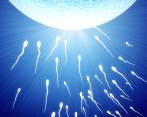 Más hombres podrían estar sufriendo problemas de fertilidad. FOTO SHUTTERSTOCK