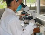 En Antioquia Colciencias financió 590 proyectos de investigación de 2010 a 2013. En la foto, laboratorio en Urabá. FOTO Archivo