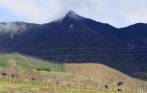 Según los denunciantes, en el páramo de Sonsón hay cada vez más empresas pidiendo licencias para la explotación del suelo, dejando de lado la siembra campesina. FOTO róbinson sáenz