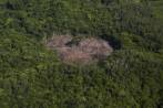 El departamento antioqueño es uno de los más afectados del país por el fenómeno de la deforestación como bien lo muestra esta imagen tomada en uno de sus bosques. FOTO Esteban Vanegas