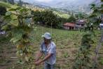 El ministro de agricultura, Andrés Valencia, reconoció que los recursos no son suficientes, pero que el Gobierno se mueve dentro de la regla fiscal establecida. FOTO Julio César Herrera