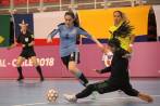 La Selección Colombia se mantiene invicta en el Suramericano de futsal que se disputa en Chile. FOTO Cortesía Fedefútbol