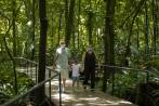 Plaza Mayor, Parques del Río, Jardín Botánico (foto), Parque Explora, Museo del Agua, Parque de los Deseos, Museo de Antioquia y el metro, entre otros, fueron los lugares evaluados. FOTO Camilo Suárez