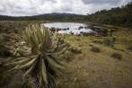 El actual gobierno ha delimitado 30 de estos ecosistemas. En la fotografía el páramo de Belmira. FOTO esteban vanegas 