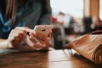 El nivel de riesgo aumenta dependiendo de la condición, posición y situación de la mujer. FOTO SHUTTERSTOCK