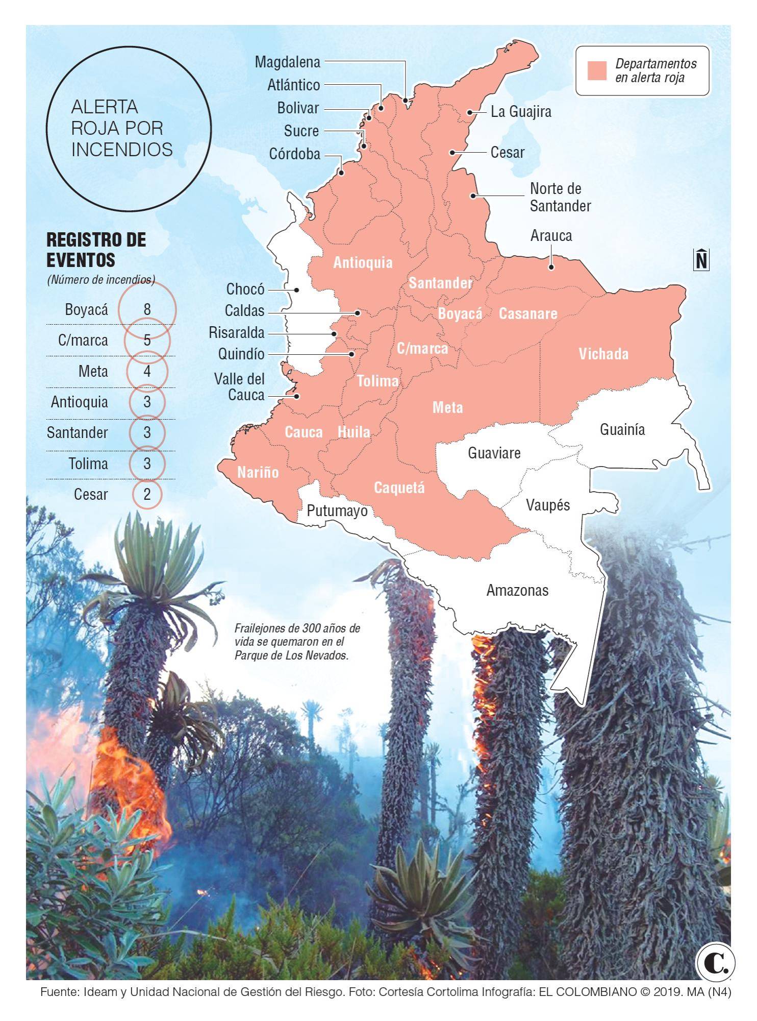 InfogrÃ¡fico