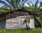 El Ejército se mantiene en la zona, contrarrestando los constantes combates entre el Eln y el Epl. FOTO Julio César Herrera