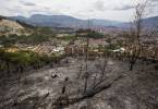 En Medellín se han perdido cerca de 60 hectáreas durante este 2019 por las conflagraciones. FOTO JULIO CÉSAR HERRERA