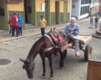 El escritor antioqueño recorrió las principales calles de Jericó, lugar donde se desarrolla su nueva novela. FOTO juan e. vásquez