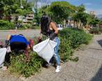 Con “limpiatón” intervinieron 114 cuadras del centro de Medellín