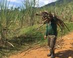 El Gobierno nacional, en cabeza de Planeación Nacional, adecuará 150 mil hectáreas con distritos de riego y drenaje. FOTO: COLPRENSA