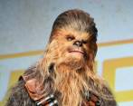 El personaje de ficción es un “wookiee”, una especie bípeda, inteligente, alta y peluda del planeta Kashyyyk, según la historia del universo cinematográfico creado por George Lucas. Foto: Star Wars