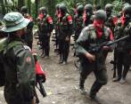 Desde 2014 hubo un aumento del 5% en las desmovilizaciones de integrantes del Ejército de Liberación Nacional. FOTO archivo