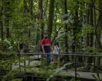 Con recorridos unidireccionales, señalización, toma de temperatura, registro y lavado de manos, niños, jóvenes y adultos pudieron retornar al Jardín Botánico de Medellín. FOTO Camilo Suárez