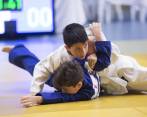 Judo entró fuerte al Festival ante la amplia participación de niños. Es la sangre nueva de este deporte FOTO edwin bustamante 