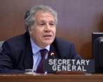 Luis Almagro, secretario de la OEA. FOTO EFE