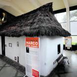 <span class="priority-content" mlnid="idcon=25743875;order=1.0">Marco Fidel Suárez</span>