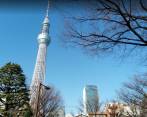 Esta es la Tokyo Skytree donde ondeará la bandera de Colombia. FOTO GOOGLE MAPS | 林秀慧