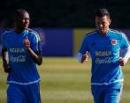 Se esperan cambios en la Selección para enfrentar a Brasil