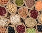 Garbanzos, lentejas y fríjoles aportan nutrientes y sabor a la cocina en casa. Foto: Shutterstock