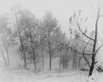 Otros ganadores de los Sony World Photography Awards 2018. Premio Cultura en modalidad Open. Fue tomada en Grecia por el fotógrafo Panos Skordas. Foto: Cortesía