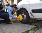 Quince inmovilizadores de vehículos estarán dispuestos desde la próxima semana para sancionar el mal parqueo. FOTO cortesía