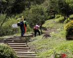 Buscar una ciudad más verde y sostenible para el disfrute de los ciudadanos es una de las apuestas del proyecto ecociudad. FOTO JAIME PÉREZ