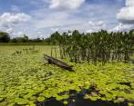 Así es la ciénaga de Bojayá, el tesoro del río Atrato
