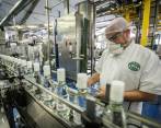 Aún falta por determinar el valor de la empresa, incluidas sus marcas comerciales. Los activos, había anticipado el gerente de la FLA, seguirían siendo de la Gobernación. FOTO Carlos Velásquez