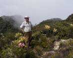 El tratado fue firmado por 24 países de América Latina y el Caribe, pero solo diez lo han ratificado. FOTO Esteban Vanegas