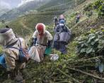 El municipio cafetero de Andes, en el Suroeste, fue la primera localidad en lograr un convenio para iniciar el proceso de actualización catastral, el cual termina en diciembre. FOTO manuel saldarriaga