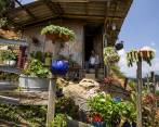En el corregimiento San Antonio de Prado, el 50 % del territorio es urbano. Cada vez la ruralidad pierde más terreno, no obstante aún hay fincas campesinas. FOTOJUlio César Herrera
