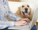 Prepararse ante cualquier eventualidad con su mascota es revisar la letra menuda y tener claras las coberturas. FOTO Sstock