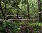 Según la alcaldía buscan generar un espacio de esparcimiento, por que la misma gente lo pedía, ya que son lugares tranquilos para caminar y hacer deporte. FOTO: JULIO CÉSAR HERRERA