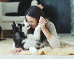 Los perros se conectan con el mundo, especialmente, por tres vías: auditiva, visual y olfativa. Por eso, la comunicación con ellos debe ser con palabras y gestos. FOTO sstock