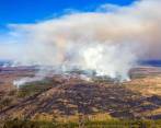 El incendio consumió cerca de 3.000 hectáreas de la zona de exclusión del accidente nuclear. FOTO AFP