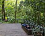 Lugares que son oasis dentro de Medellín