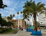 Las obras del Paseo de Bolívar II incluyen la siembra de 37 nuevos árboles en el centro de Medellín. FOTO: CORTESÍA DE LA ALCALDÍA.