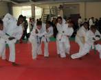 Entre 60 y 70 deportistas vienen entrenando judo en Apartadó. En Andes hubo una delegación de 18 jóvenes que se impuso a los ganadores tradicionales de Medellín y Valle de Aburrá. FOTO Indeportes