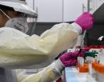 Un técnico de laboratorio clasifica muestras de sangre para el estudio de vacunación Covid-19 en los Centros de Investigación de Estados Unidos en Florida. FOTO AFP