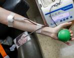 Al menos 50 % han disminuido las donaciones de sangre en el país. En el hospital San Vicente (imagen) bajaron de 1.200 a 400. FOTO ESTEBAN VANEGAS