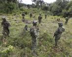 Entre los retos que afrontará el próximo ministro de Defensa está el del control del territorio donde hay presencia de cultivos de uso ilícito y grupos armados ilegales. Ahí, según expertos, radica la importancia de saber sobre seguridad. FOTO Manuel Saldarriaga