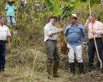 Santos sembró de forma simbólica una mata de plátano en lo que era hasta ahora un cultivo de coca. FOTO Cortesía Presidencia