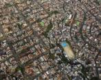 Constructores no tienen dónde sembrar 40.000 árboles